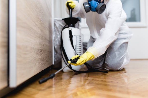 Best Pest Inspection Near Me  in Lton, IN