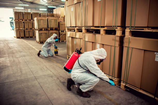 Best Pest Control Treatment  in Lton, IN