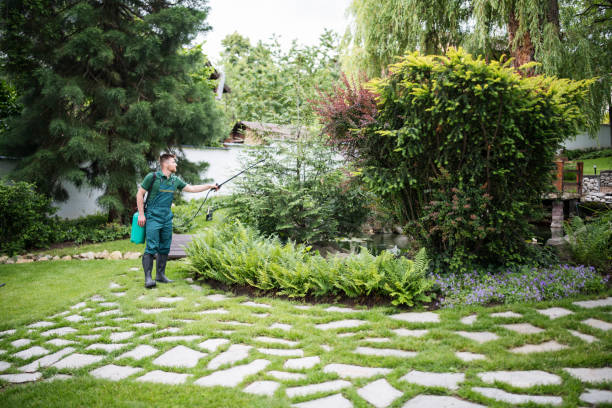 Best Ant Control Services  in Lton, IN