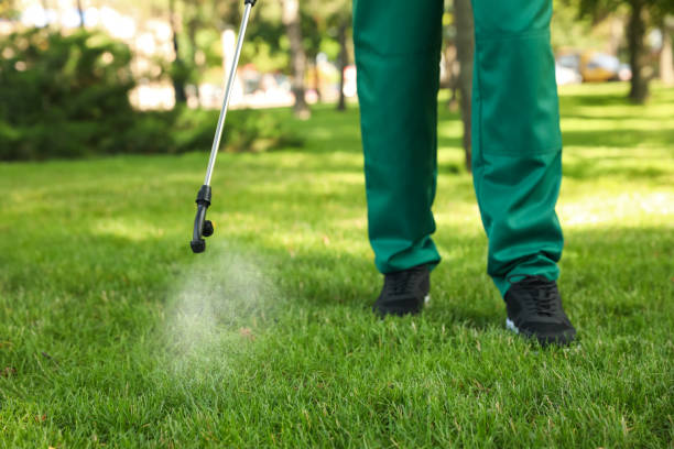 Best Wasp Removal Services  in Lton, IN